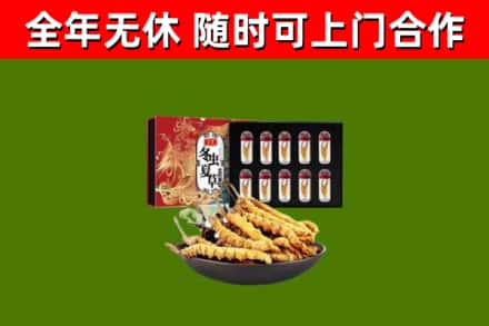 文成回收冬虫夏草价格